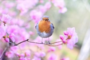 Prompts: Seasonal Memories – Spring