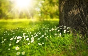 Writing Prompt: Summertime and the Living Is Easy